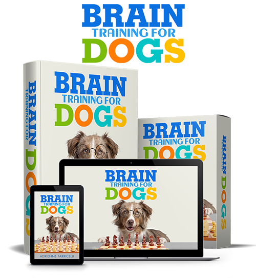 BRAIN TRAINING FOR DOGS